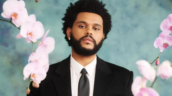 zaujímavosti The Weeknd