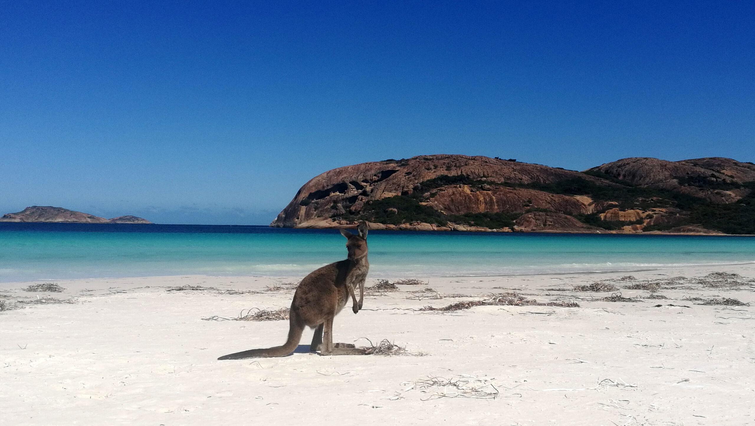 Lucky Bay v Západnej Austrálii je jednou z mojich najobľúbenejších pláží.