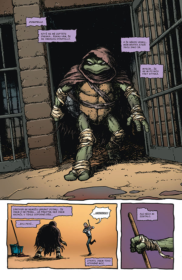 TMNT