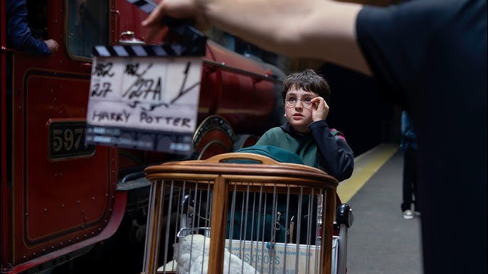 Hledá se Harry